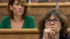 Žitňanská má predložiť pravidlá na využívanie právnych služieb štátom