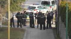 Po vyhrážkach na internete policajti strážili domy niektorých poslancov