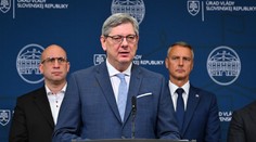 Ministerstvo nečakane stoplo výzvu na ochranu ľudských práv. Nechápeme a sme v šoku, odkazujú organizácie (anketa)