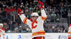 Buď pôjdeš k bitkárom, alebo na tribúnu. Šesť otrasov mozgu mu takmer zničilo kariéru. Slovák v NHL aj tak neuhne nikomu