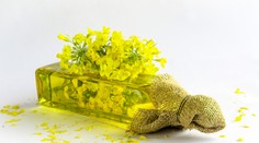 Legendárne oleje a tuky na varenie by sa mohli opäť vyrábať na Slovensku