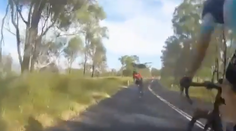 VIDEO: Bizarná nehoda z Austrálie, do cyklistky počas jazdy vrazila kengura