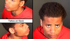 Muž, ktorý Lady Gage ukradol buldočkov, dostal 21 rokov