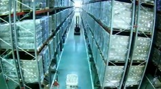 VIDEO: Zamestnanec veľkoskladu omylom drgol do regálu. Domino efekt spôsobil obrovskú spúšť