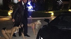 Prsnatá modelka šokuje. Bohatý milenec sa k nej správal ako k psovi