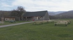 Salaše majú problém. Po vypuknutí slintačky a krívačky majú nižšie tržby a menej návštevníkov