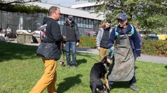 Počet útokov psov na poštárov narastá. Slovenská pošta zakročila