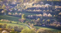 Po veľmi teplých dňoch príde prudká zmena. Teploty klesnú, rátajte s búrkami
