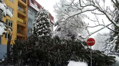 Sneh v Poprade a okolí láme stromy. Myslite na to na prechádzkach aj pri parkovaní