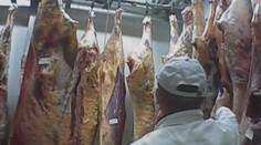 Kauza chorého mäsa pokračuje: V Jelšave ponúkali poľské potraviny priamo z dodávky