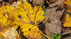 Príjemné teploty, ale často aj zatiahnutá obloha. Čaká nás stabilné a pokojné počasie