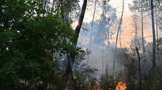Apokalypsa v obľúbených dovolenkových destináciách. Státisíce ľudí utekajú z domovov, evakuovali aj Slovákov