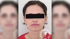 Jej deti si mali nacvičovať odrezávanie hlavy. Aj takéto dôkazy má mať polícia voči Slovenke obvinenej z terorizmu