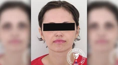 Jej deti si mali nacvičovať odrezávanie hlavy. Aj takéto dôkazy má mať polícia voči Slovenke obvinenej z terorizmu