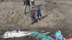 Pri Trebišove sme našli množstvo uhynutých psov pohodených na poli alebo v potoku