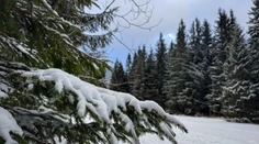 Slovensko čaká mrazivá noc. Teploty môžu klesnúť až k mínus 20 stupňom