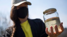 Na juhu Slovenska sa objavil nový nebezpečný druh komára