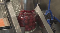 Pozrite si, ktoré slovenské pochúťky získali tento rok „Gastro Oscara“ na prestížnej súťaži