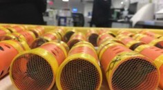 Muž chcel prepašovať 35 exotických vtákov. Neuveríte, v čom boli ukryté