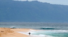 Pri útoku žraloka na Havaji prišiel o život známy herec z Pirátov Karibiku