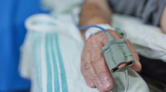 Omyl, ktorý ho takmer stál život. Muž zjedol najjedovatejšiu hubu, pomýlil si ju s bedľou