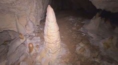 V Strážovských vrchoch objavili jaskyňu, do ktorej ešte nevkročila ľudská noha. Našli tam pozostatky obrovského medveďa