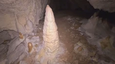 V Strážovských vrchoch objavili jaskyňu, do ktorej ešte nevkročila ľudská noha. Našli tam pozostatky obrovského medveďa