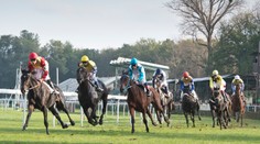 Škandál z Veľkej Pardubickej: Víťazný kôň dopoval