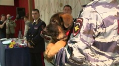 Milé gesto od Ruska! Francúzom darovali šteniatko