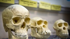 Bude sa prepisovať história: Človek je na tejto planéte oveľa dlhšie ako sme si mysleli