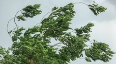 Dážď nebude jediný problém. Tieto časti Slovenska sa musia pripraviť aj na silný vietor nad 100 km/h