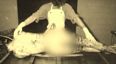 Mladého študenta surovo dotrhali psy. Súd prvýkrát rehabilitoval obeť komunistického režimu