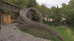 Dizajnové vŕbové prútie je v zahraniční bežné, no u nás raritou. Pozrite si, ako splýva s prírodou