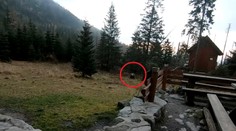 Vybrali sme sa po stopách chýrnej líšky. Nevinné nakrúcanie sa zmenilo na dobrodružstvo