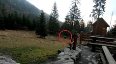 Vybrali sme sa po stopách chýrnej líšky. Nevinné nakrúcanie sa zmenilo na dobrodružstvo