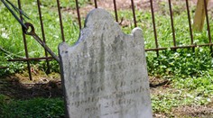 V záhrade majú zakopanú mŕtvolu. Sami to tak chceli