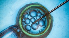 Odborník šokuje! Deti narodené po umelom oplodnení žijú oveľa kratšie