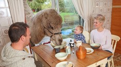 Rodina má ako domáceho miláčika ťavu!