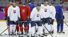 Prvý zápas Slovákov bude pískať Čech