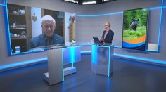 Africký mor ošípaných je hrozbou pre slovenské chovy. Je konzumácia bravčového mäsa bezpečná?