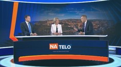 Vyšetrovanie vraždy: Obvinená Alena Zsuzsová mohla byť len sprostredkovateľ