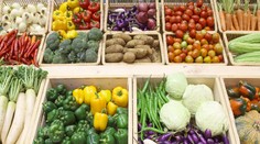 Pozreli sme sa na zeleninársky priemysel. Viete, čo jete?