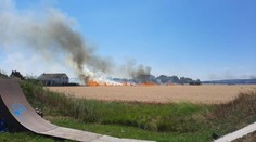 Pri Bratislave horelo obilie, požiar zničil viac ako päť hektárov