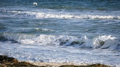 Španielske pobrežia zamorili toxické riasy. Ľuďom môžu po kúpaní v mori spôsobiť zdravotné komplikácie