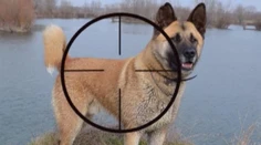Psa mu zabili priamo pred očami. Po strelcovi už ide polícia