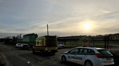 Tragická poľovačka pri Leviciach: Muž trafil honca (†62) do ramena, zomrel na mieste