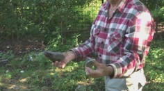 Krompašania si nevedia rady s nájazdmi tlúp detí. Nepomáhajú ploty ani policajti