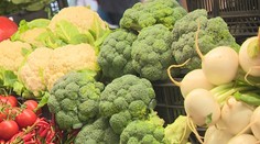 Zamestnanci zeleninových skladov prehovorili o podvodoch pri prebaľovaní zeleniny