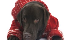 Tešíte sa na oteplenie a slnečné počasie? Nebude to tak