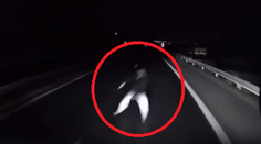 Kamionista nám opísal okamihy hrôzy. Chodca zbadal v poslednej sekunde